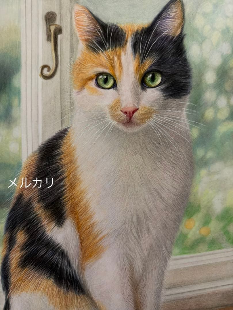 色鉛筆画 A4窓辺の三毛猫