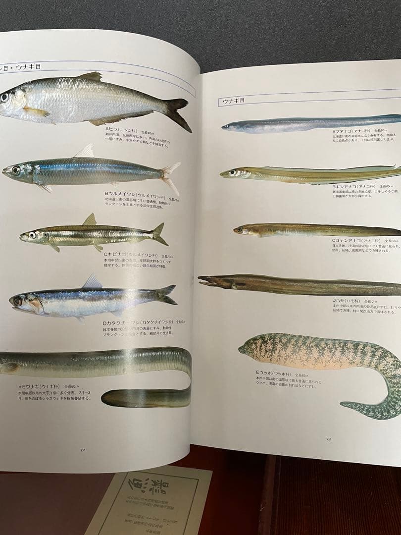 日本料理　魚器図館　捌き方、魚器種類 　　志の島忠　グラフ社刊