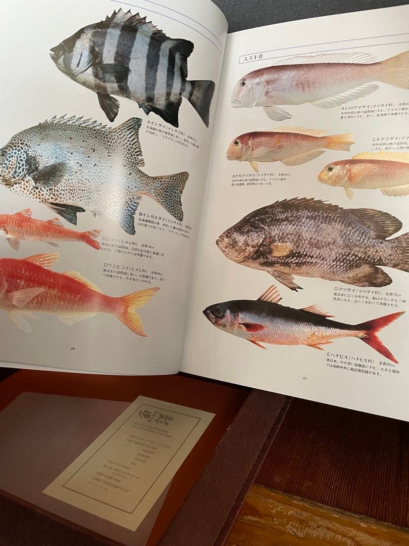 日本料理　魚器図館　捌き方、魚器種類 　　志の島忠　グラフ社刊