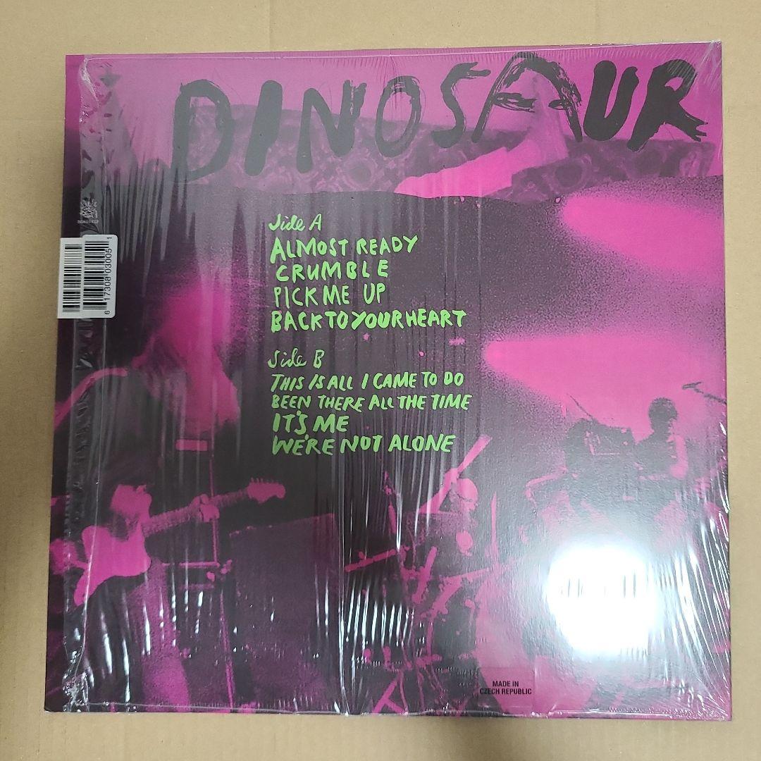 Dinosaur Jr. beyond カラー レコード 7inchレコード付