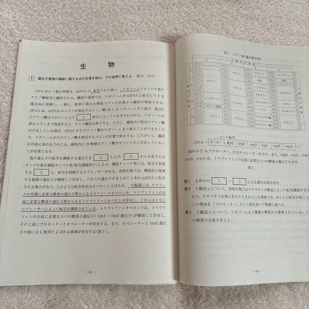 【未使用】高校3年生 2024年度 第3回 全統記述模試 河合塾