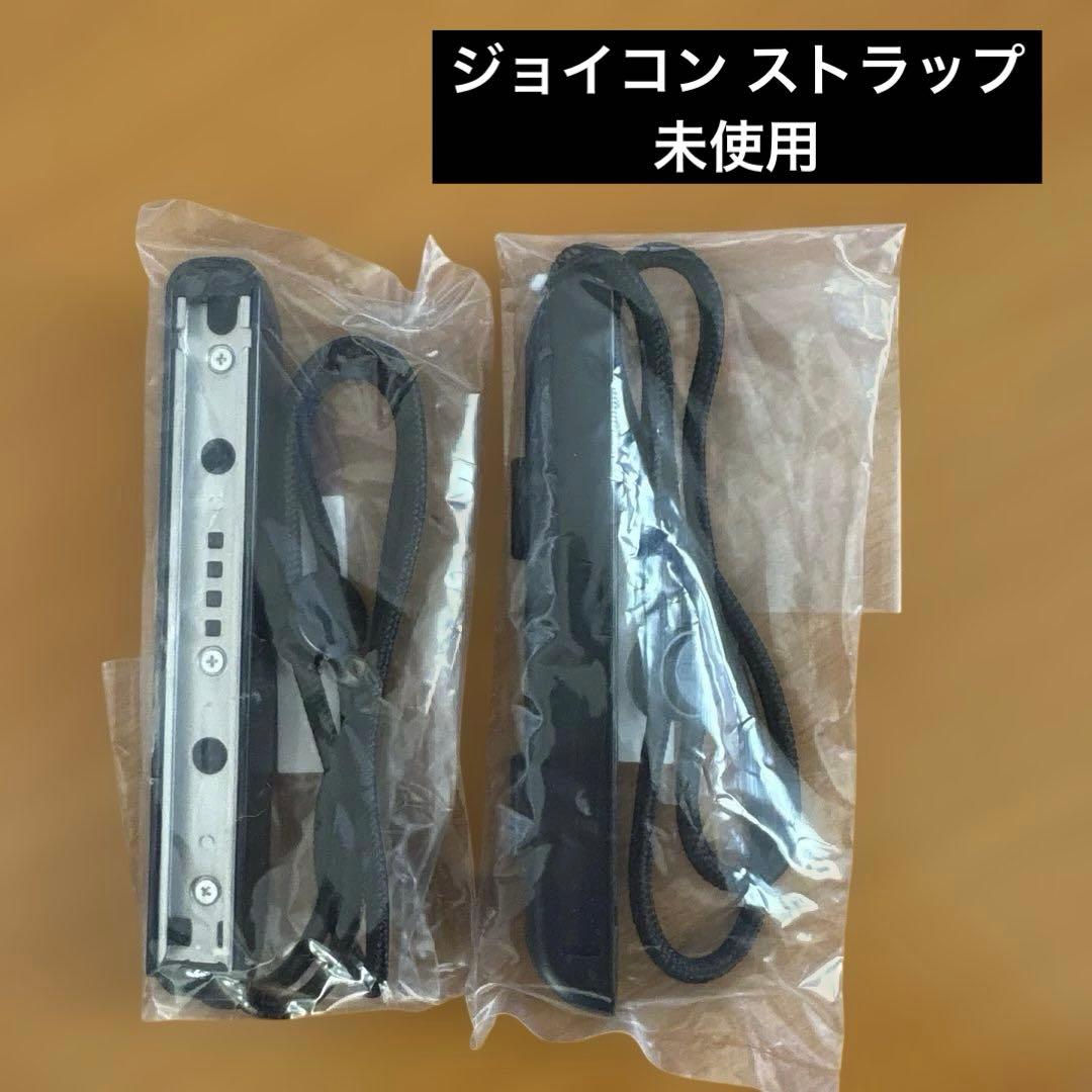 9*ん様 Nintendo Switch 本体 microSD256GB付き