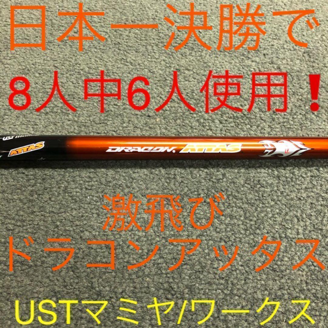 ★誕生! 404Y遺伝子の飛び! ファイヤー マキシマックス ドラコンアッタス