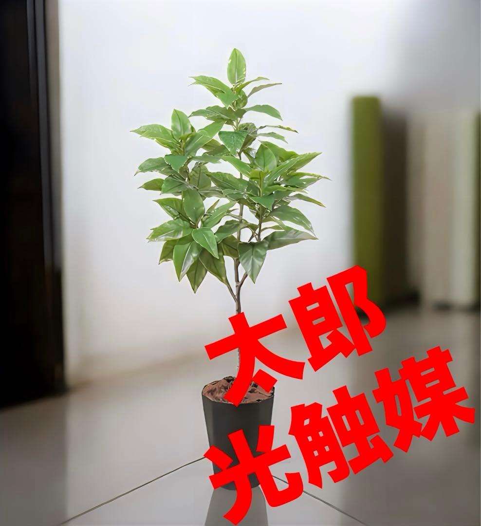 光触媒　人工観葉植物　ウォールグリーン　フィカスグリーン　フィカスフロリス