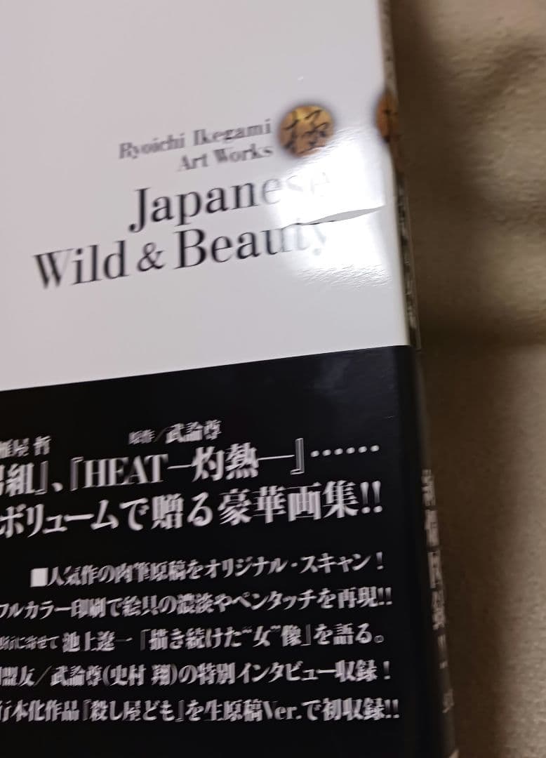 池上遼一 Art Works 男編&女編
