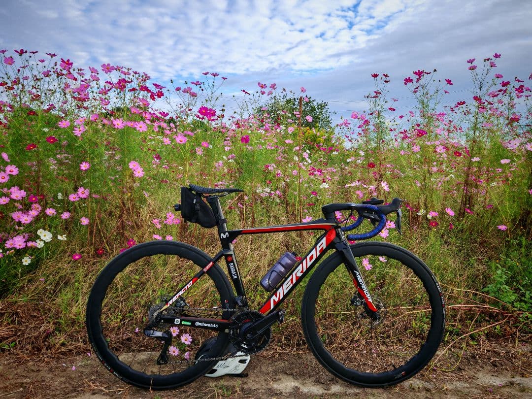 自転車本体 Merida Reacto disc team-e 2019 sizeXS