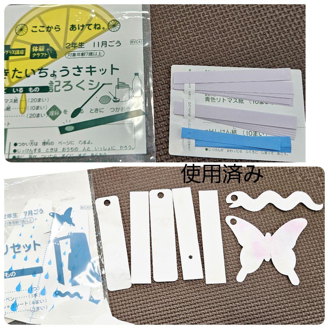 進研ゼミ 考える力プラス 小学講座 オプション 2年生 にゃっち 小2 小学生