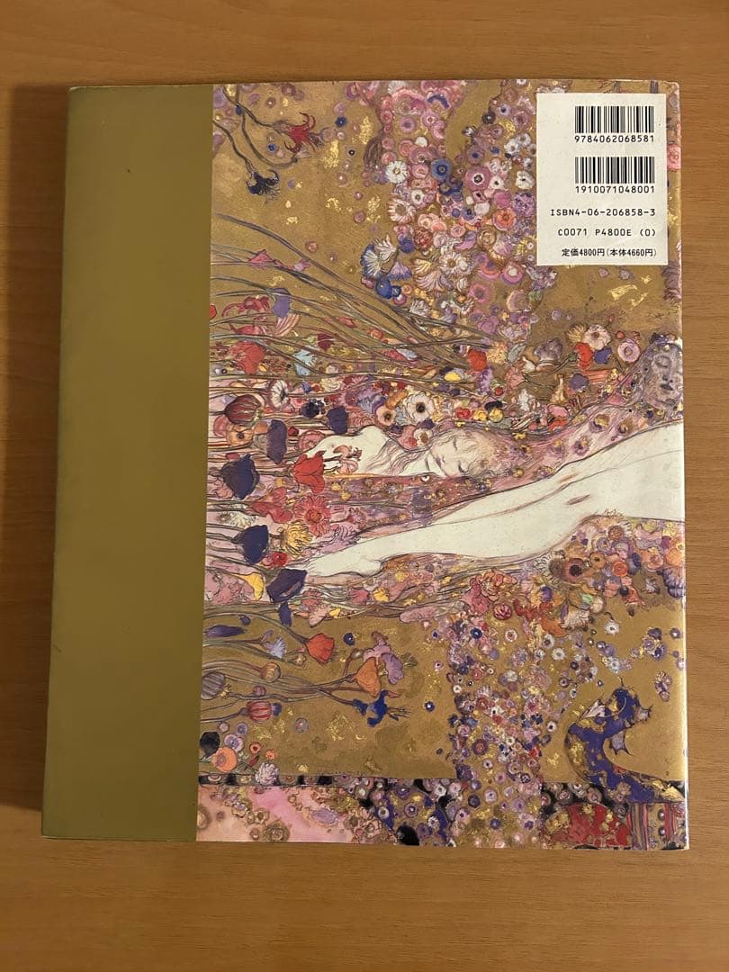 花天 天野喜孝画集 A4サイズ