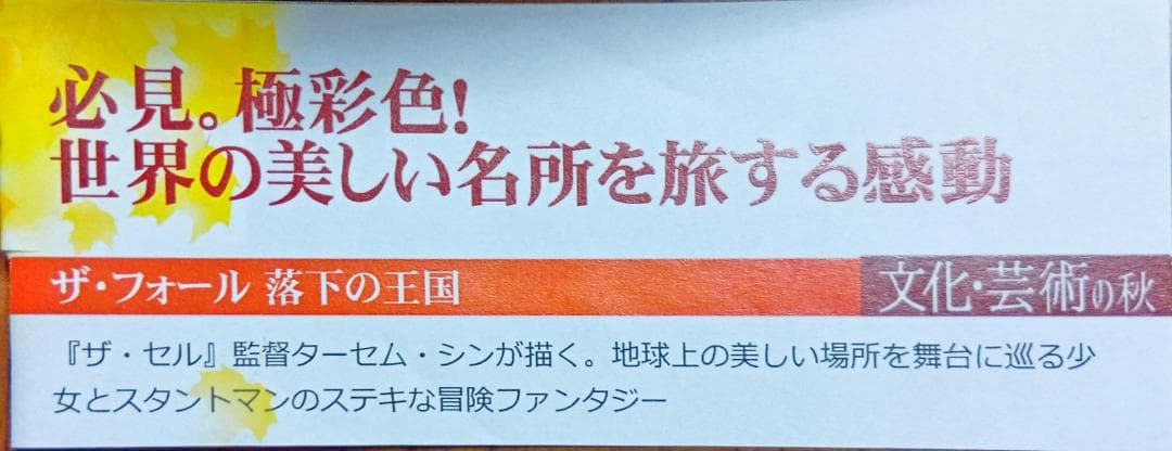 初版激レア The Fall ザ・フォール 落下の王国 日本語吹替えあり英語字幕