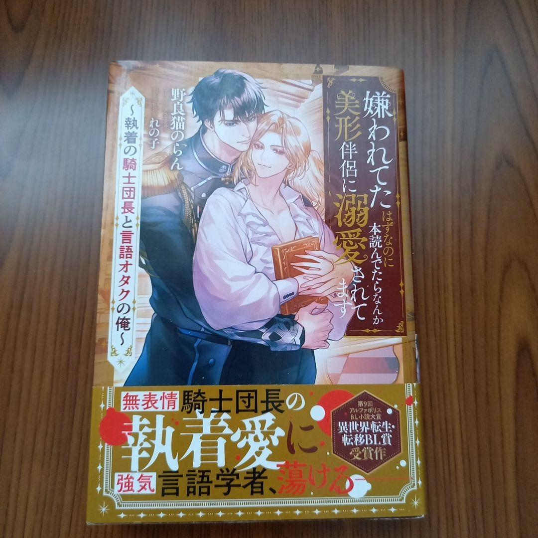 アンダルシュノベルスBLノベルまとめ売り13冊