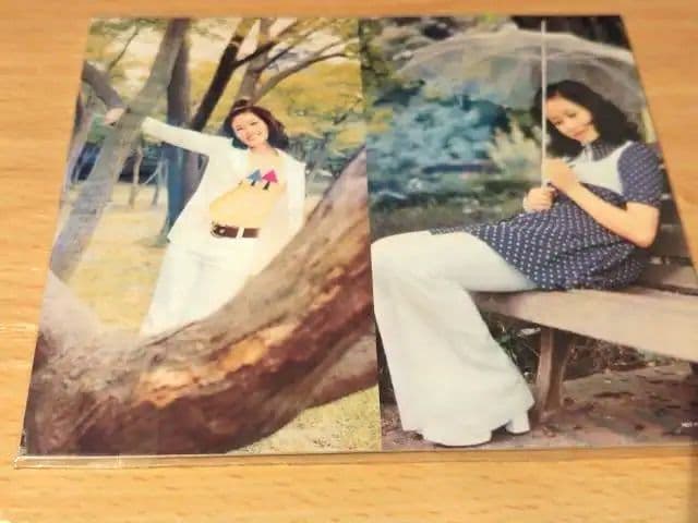 ●送料込● 11CD＋DVD 小柳ルミ子 デラックス・ボックス BOX DVD
