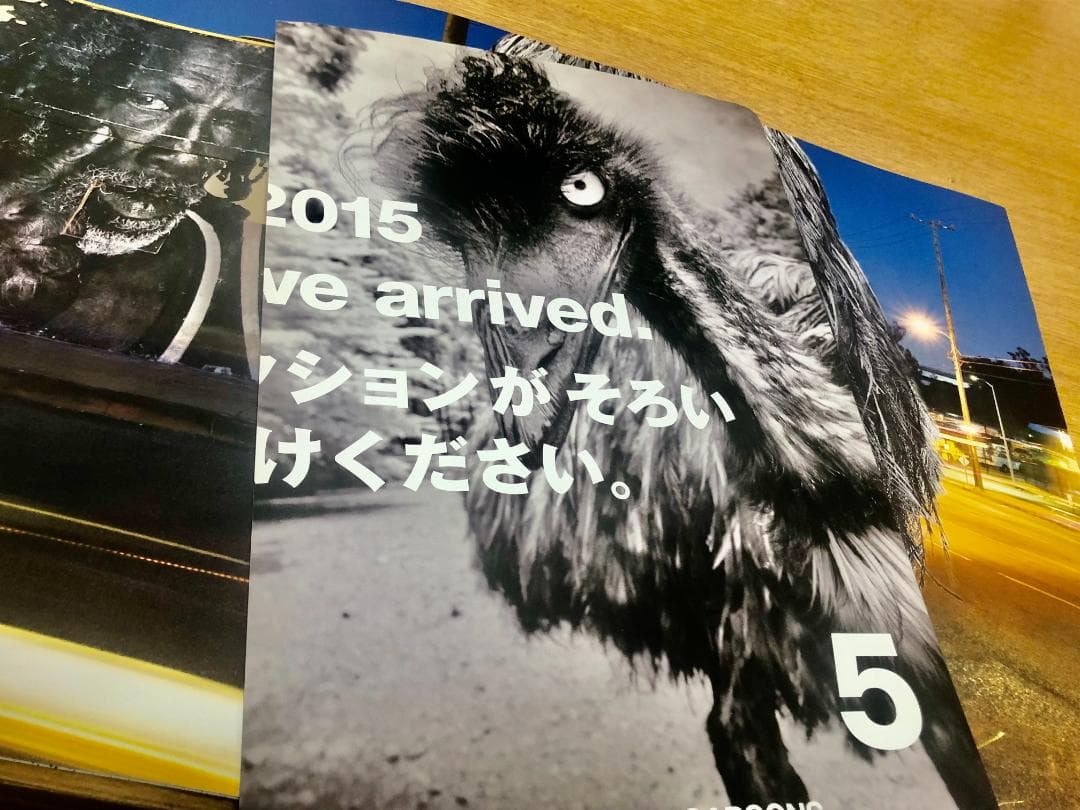 【JR（ジェイアール）】コムデギャルソン 2015 DM 5冊セット
