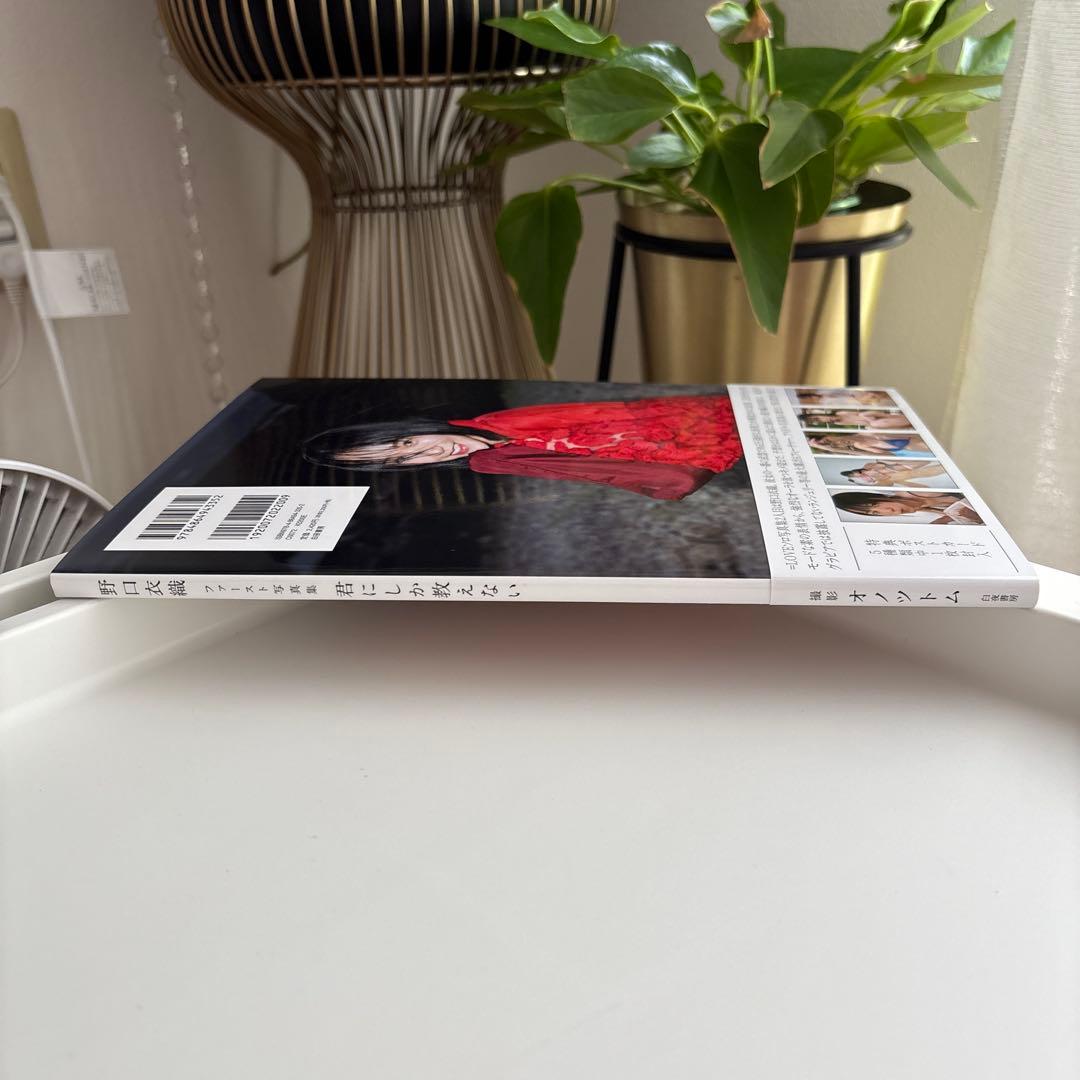 【美品】君にしか教えない 野口衣織ファースト写真集