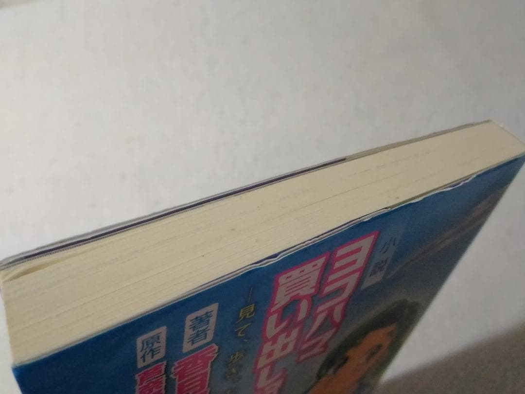 小説ヨコハマ買い出し紀行 見て、歩き、よろこぶ者 香月照葉 芦奈野ひとし