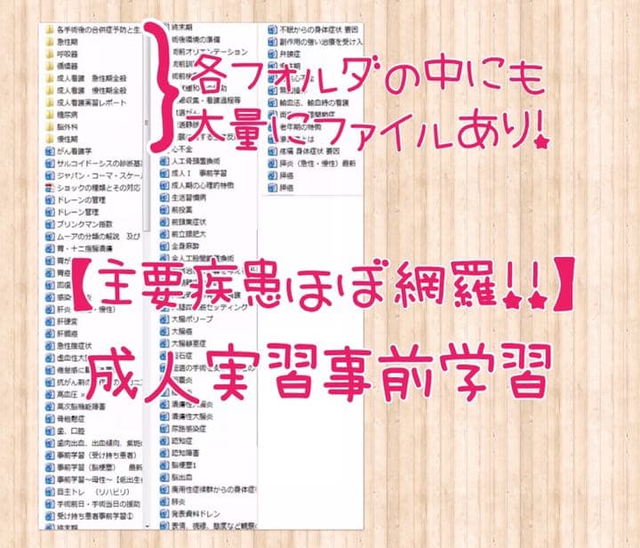 看護実習 手順書 関連図 看護過程 レポート 看護過程 看護学生 事前学習 国試