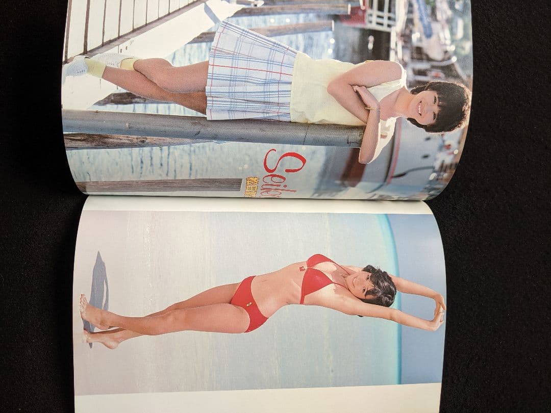 エンドレスサマー　岡田有希子　松田聖子　河合奈保子　中森明菜　荻野目洋子　写真集