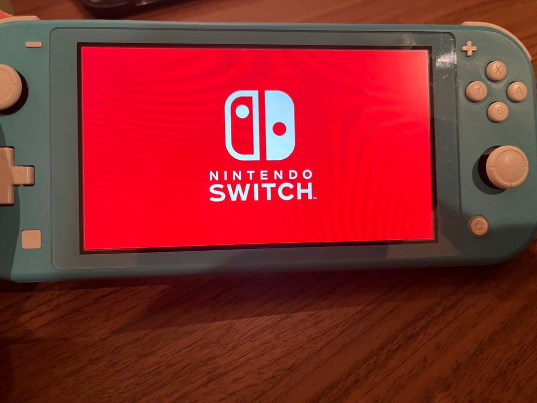 Nintendo Switch Lite 充電ケーブル・ケース付き