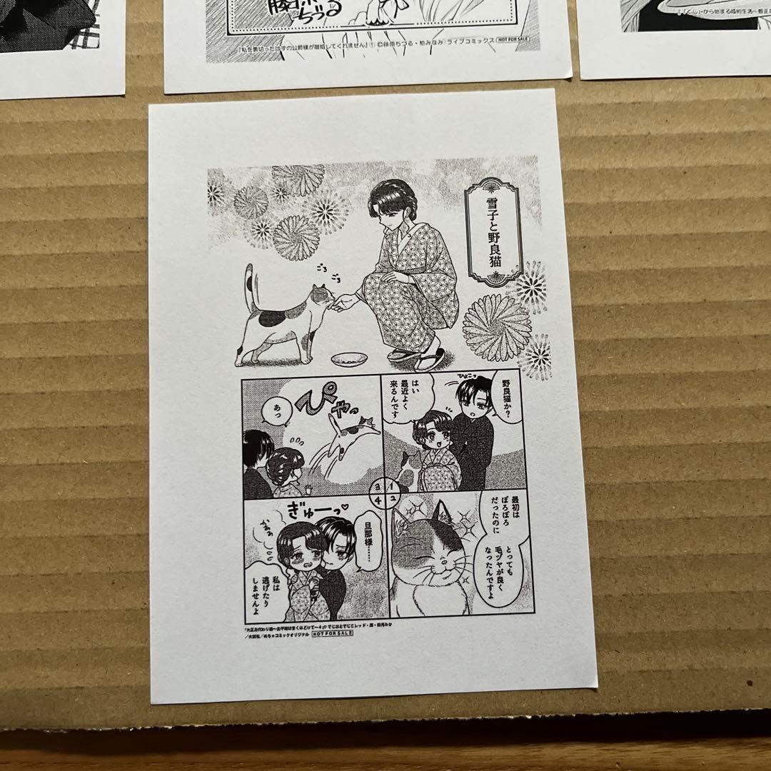 桜桃　2月①