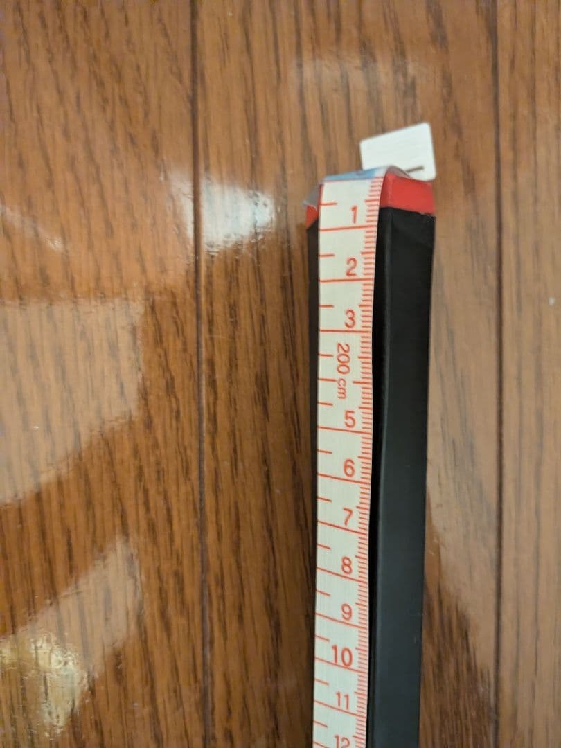 【長めのパター】PING PAL 6 KARSTEN MFG. CORP. パタ