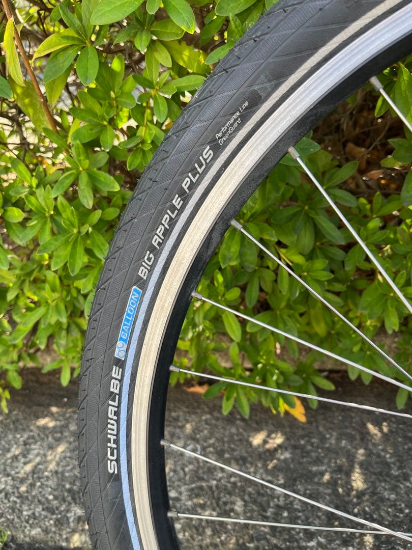 軽量Rocky Mountain Element マウンテンバイク　カーボン