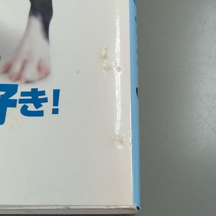 楽しいボストン・テリアライフ