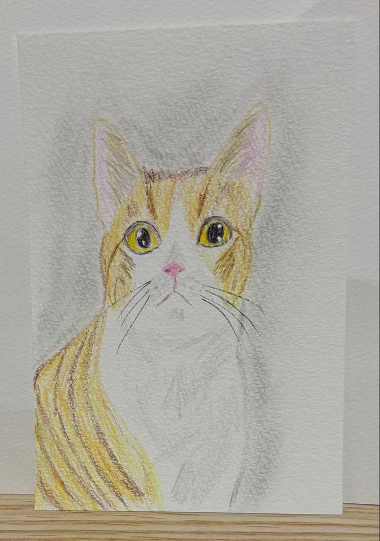 yayoi　猫　色鉛筆画　原画　ポストカード