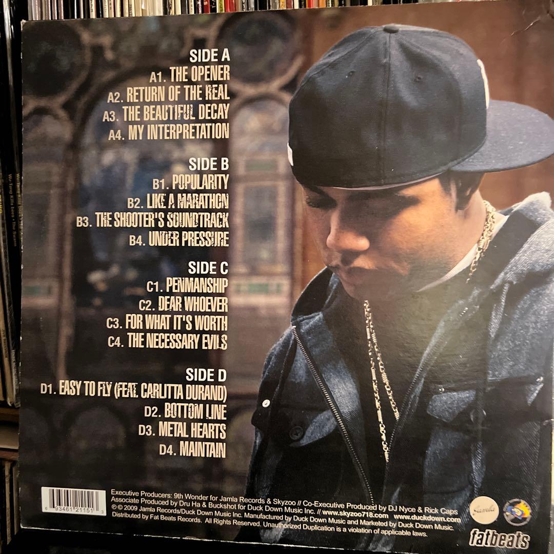 洋楽 skyzoo 2LP the salvation US org