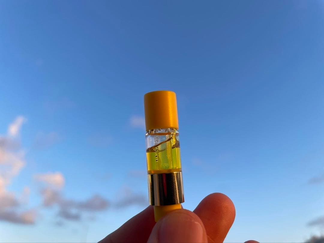 【Sativa】 Jack Herer 1ml CBD 10