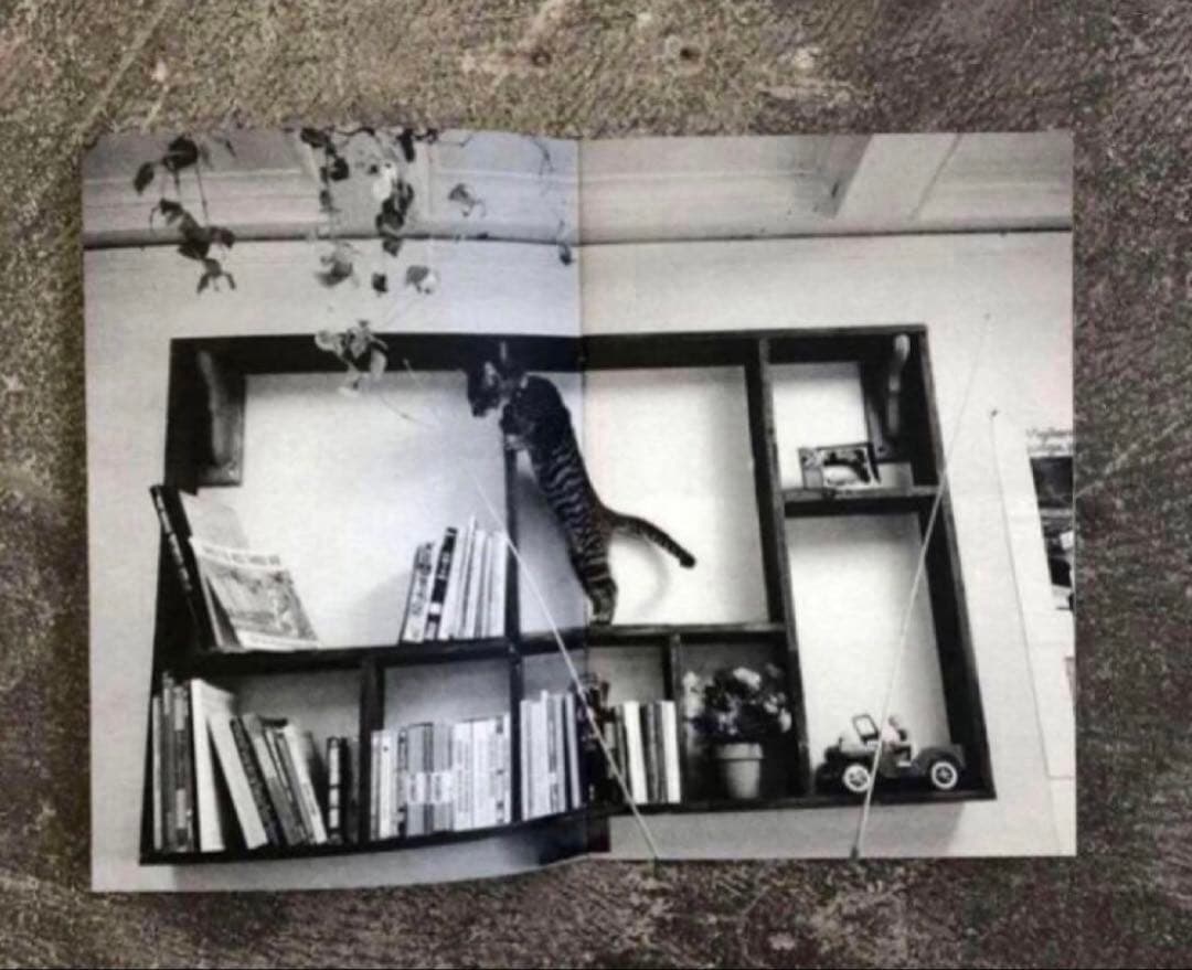 絶版‼️ Dennis McGrath 写真集 150部　SUPREME