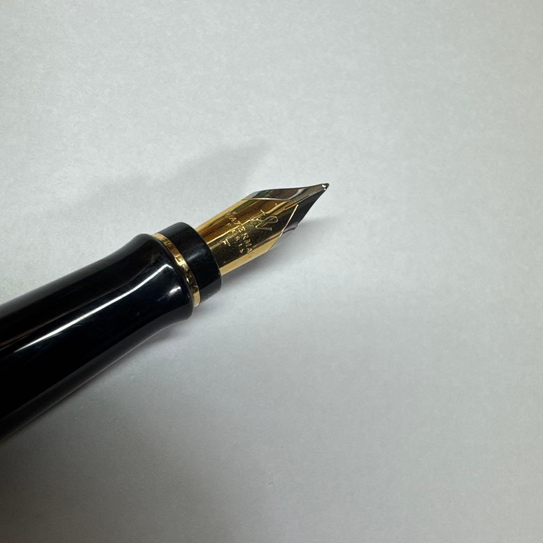 Waterman 万年筆　いん