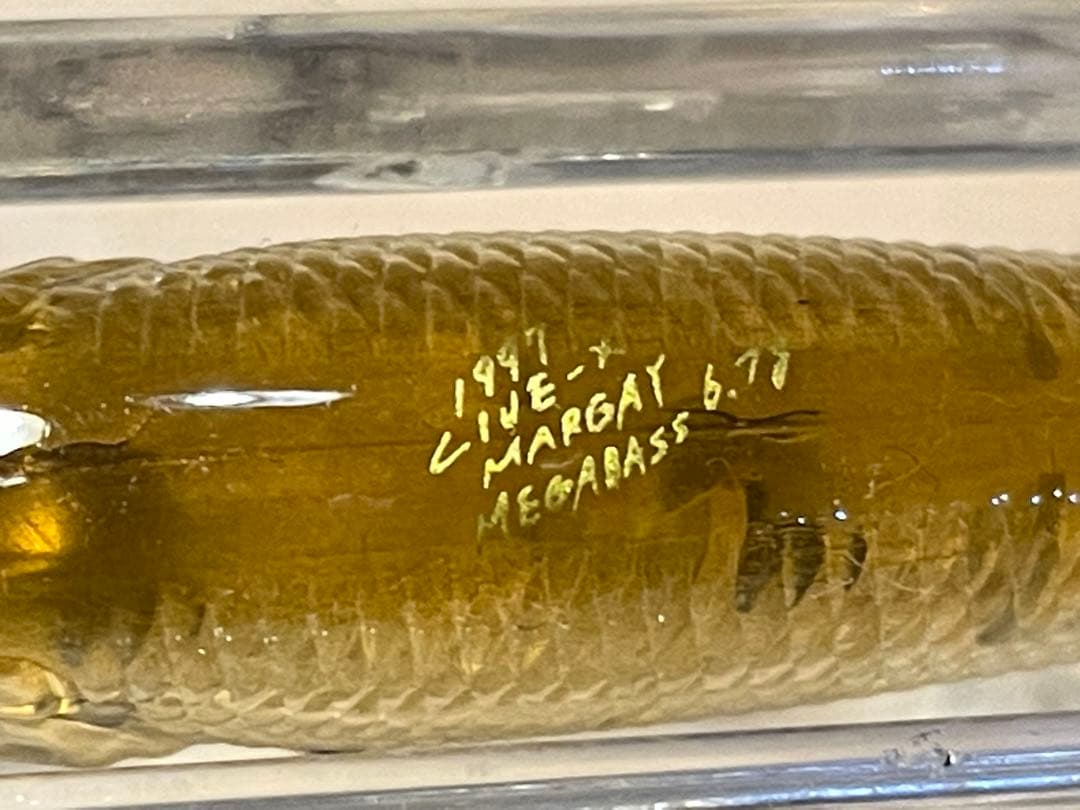 1996-1999 オールド メガバス OLD Megabass  ルアーセット