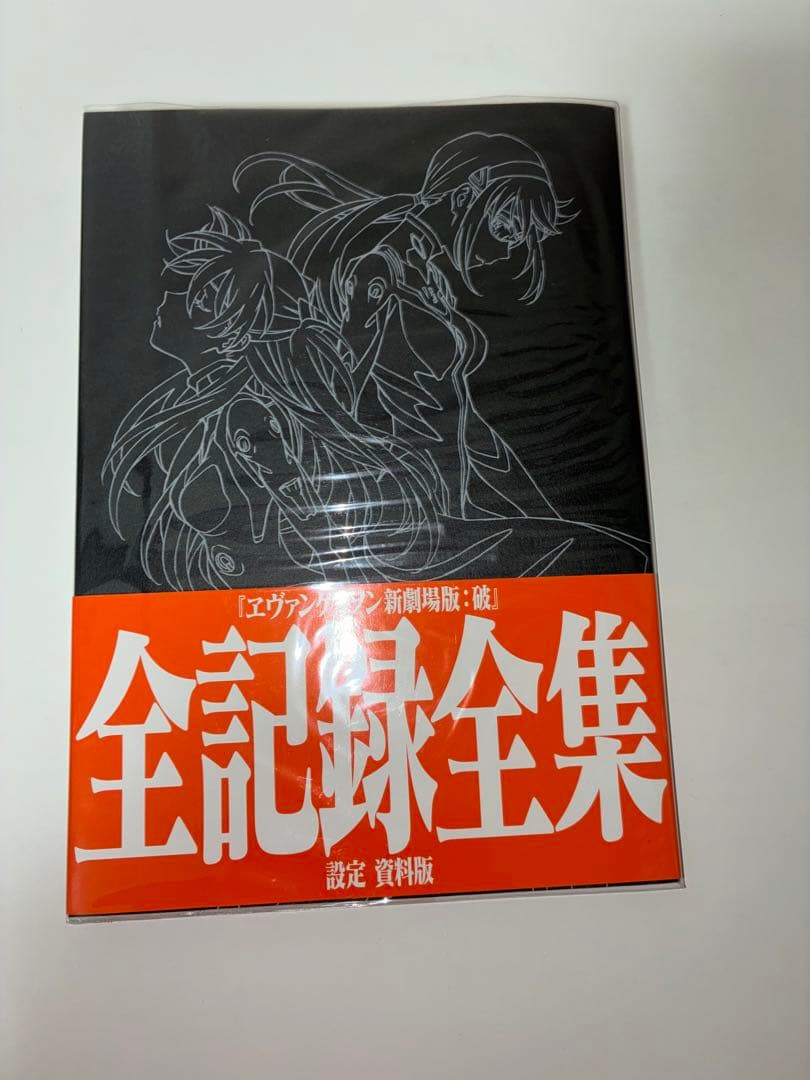 ヱヴァンゲリヲン新劇場版 全記録全集 / 画コンテ集 / 原画集 他