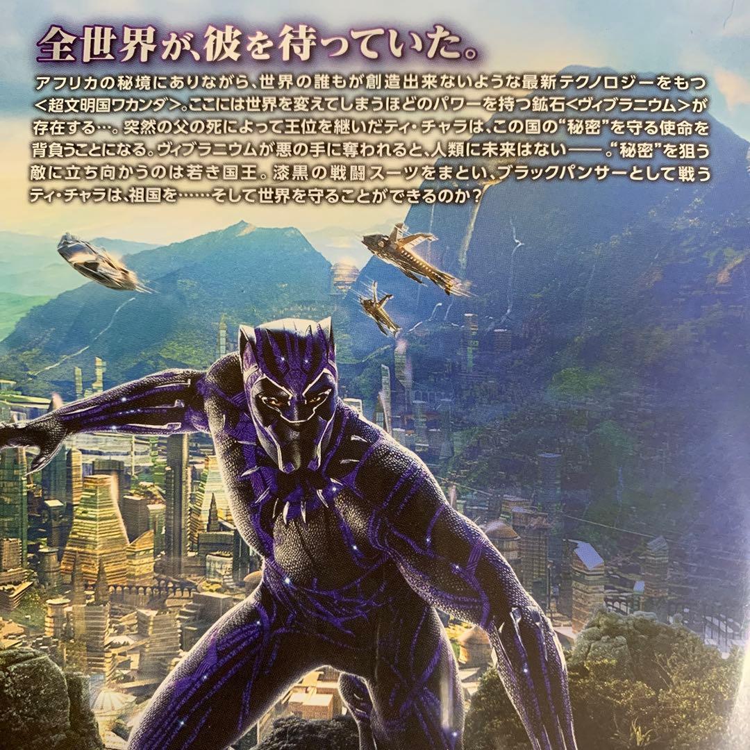 DVD MARVEL 12作品