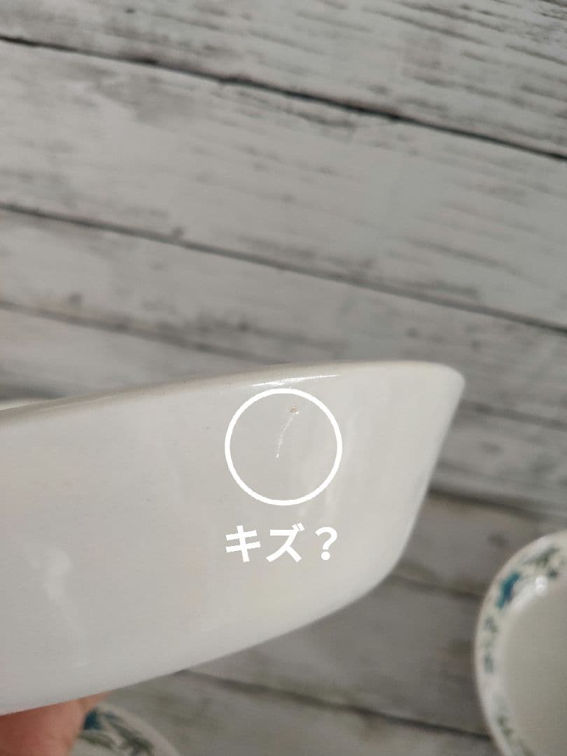 midwinter スパニッシュガーデン サラダ皿 5枚セット