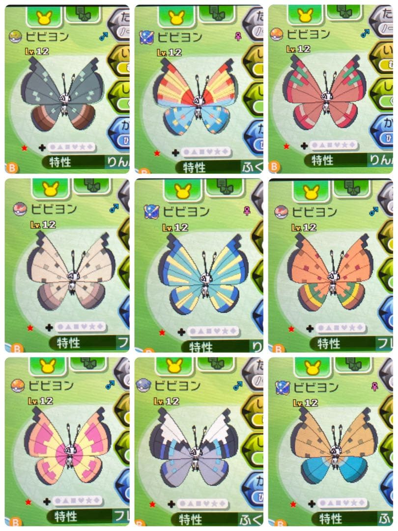 ポケモン サン ビビヨン全模様コンプリート 色違い ガンテツ・ウルボ入 216
