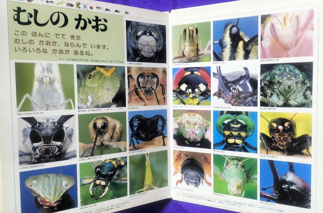 絶版本！✨21世紀幼稚園百科 こんちゅう✨日高敏隆監修 虫図鑑 表紙カバーなし