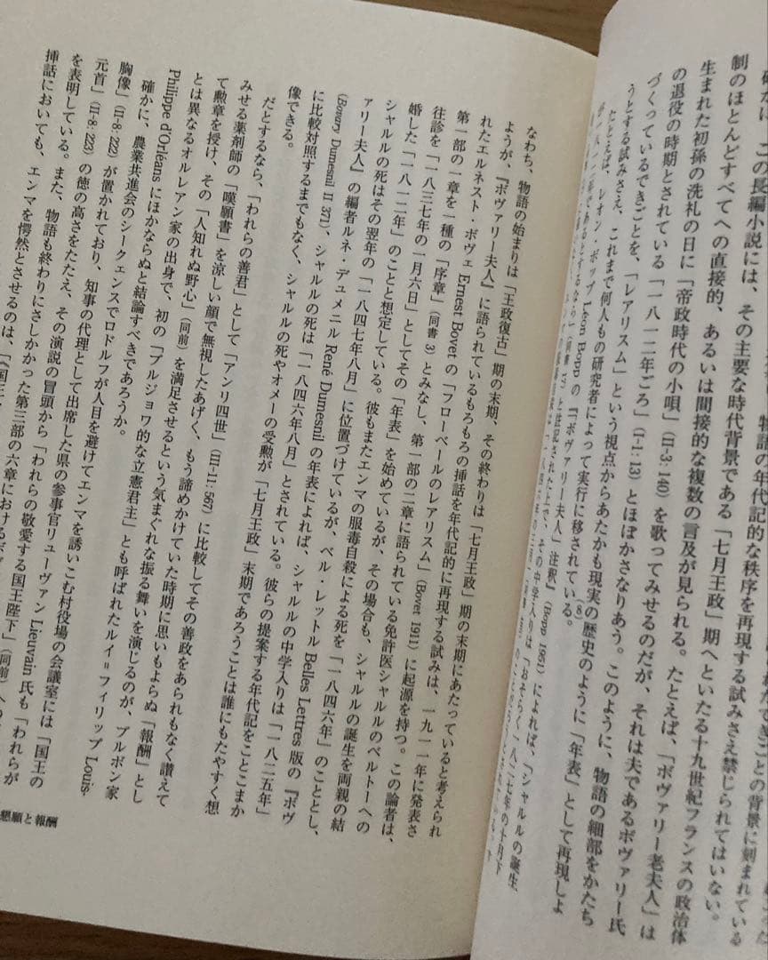「ボヴァリー夫人」論 蓮實重彦