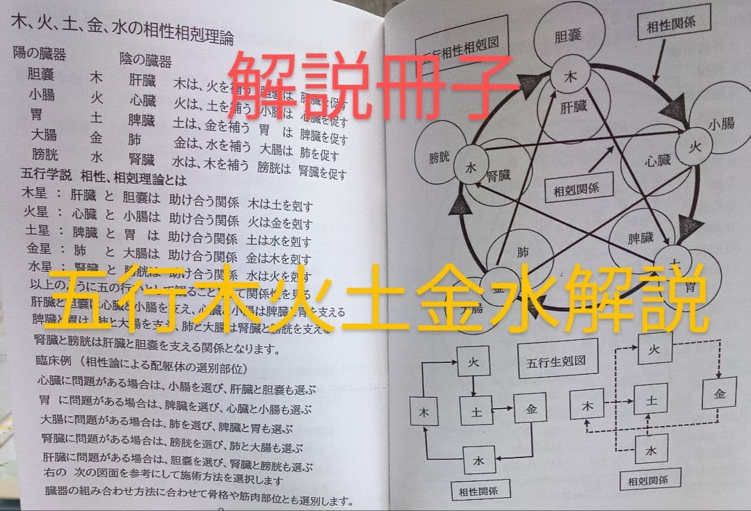 Bc:耳つぼ：耳臨床54例集+臓器/躯体ラミネート+解説冊子/プリント13set