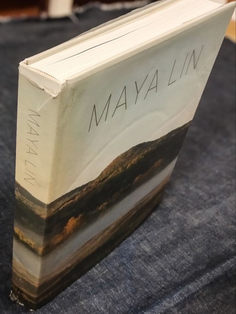 Maya Lin Topologies 建築 マヤ・リン