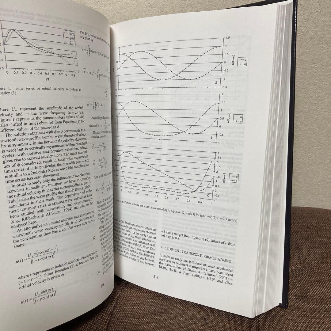 洋書  Coastal & Estuarine Morphodynamics