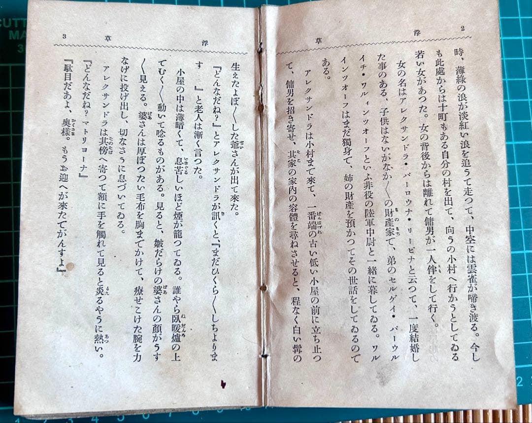 浮草 本間久雄 著 敬文館 大正4年発行