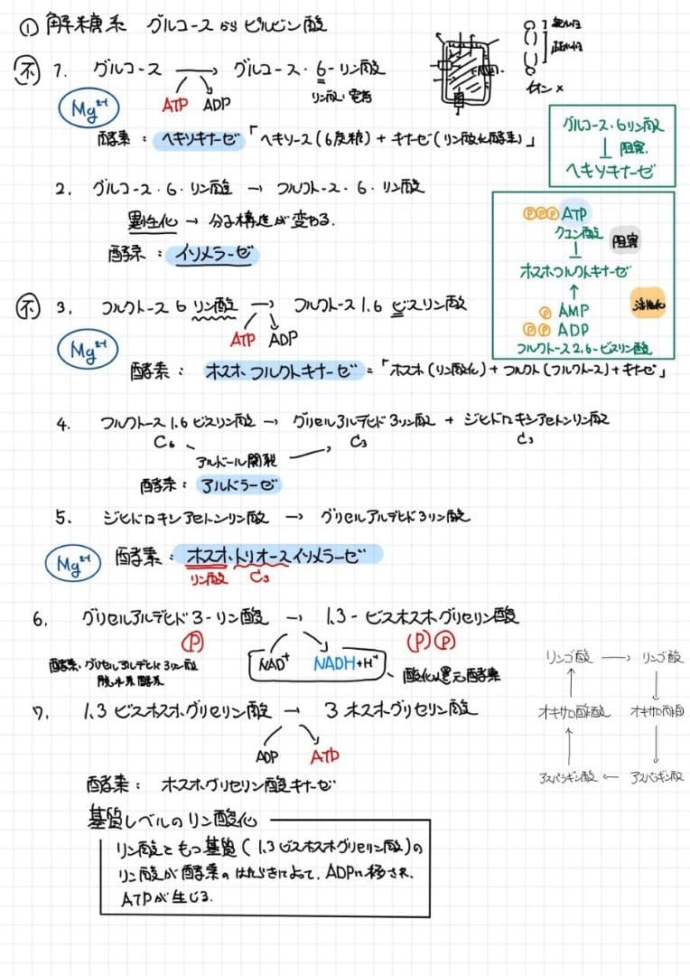 エッセンシャル細胞生物学 自作問題集