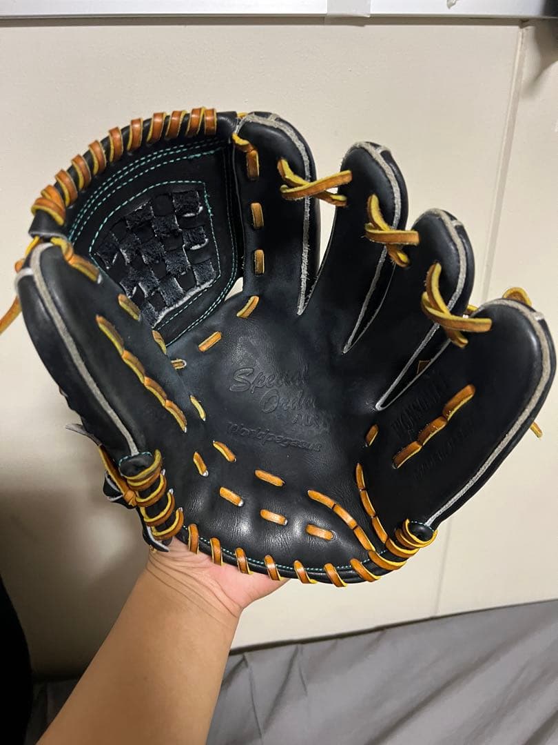 ワールドペガサス　グローブ