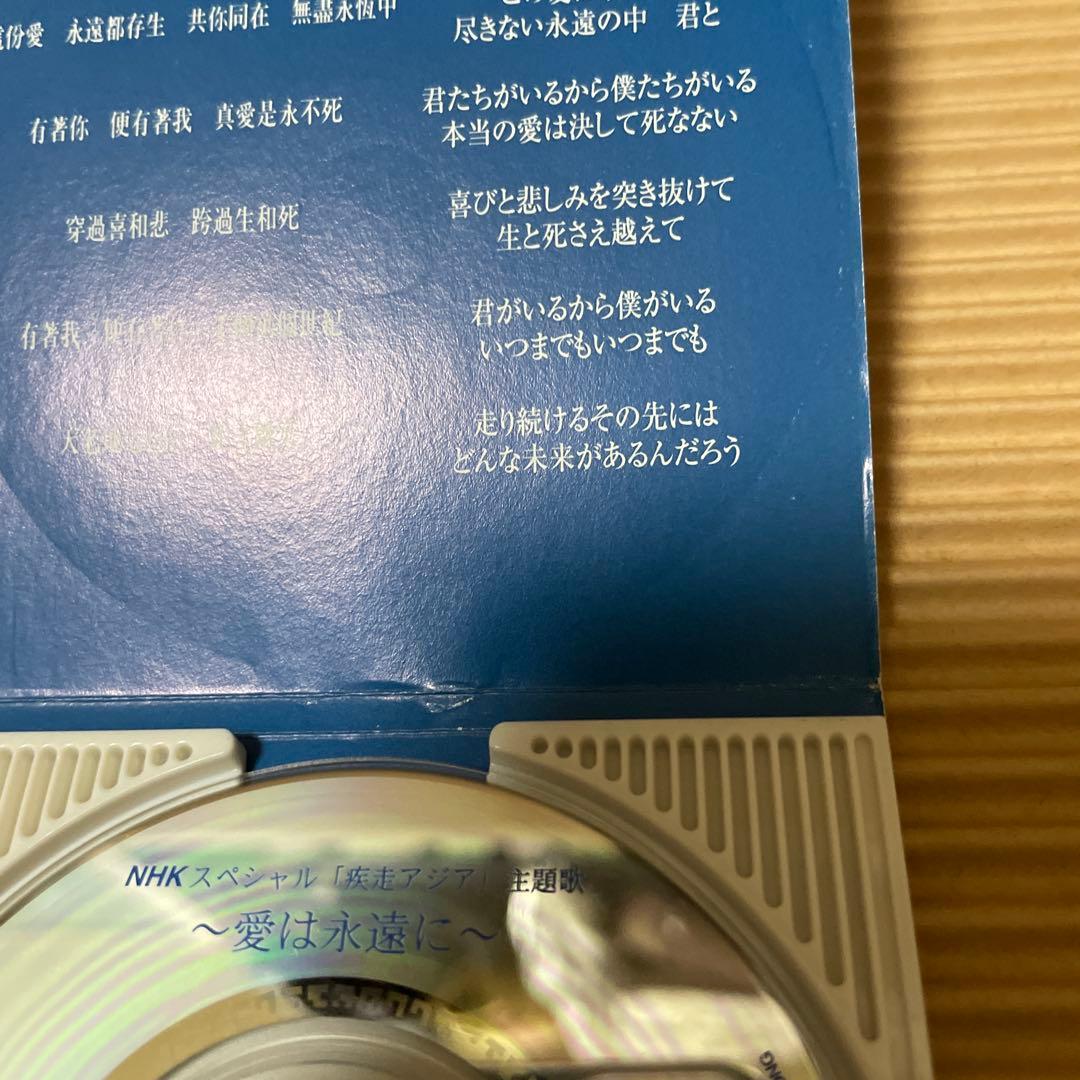 ジャッキー・チュン 張學友 愛は永遠に 8cm cd 希少