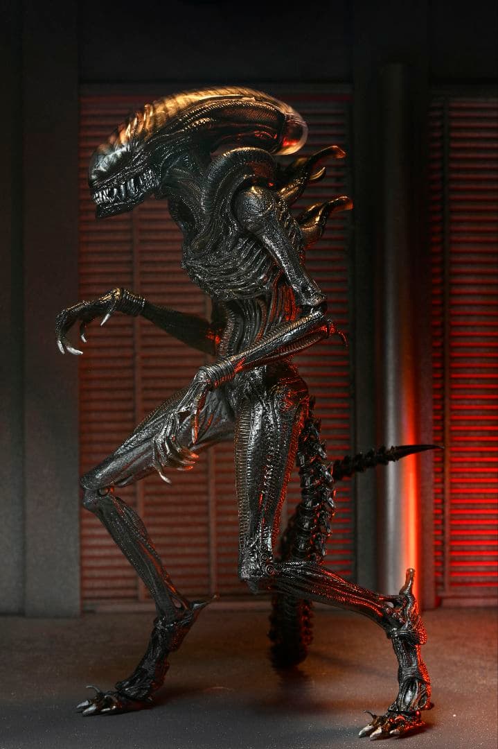 新品未開封 NECA ネカ エイリアンロムルス スコーチドゼノモーフ