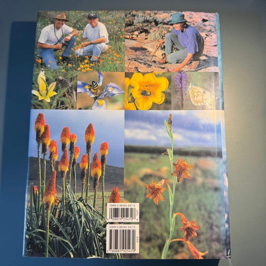 洋書　古書　希少　ヴィンテージ植物図鑑　繊細で美しい植物画