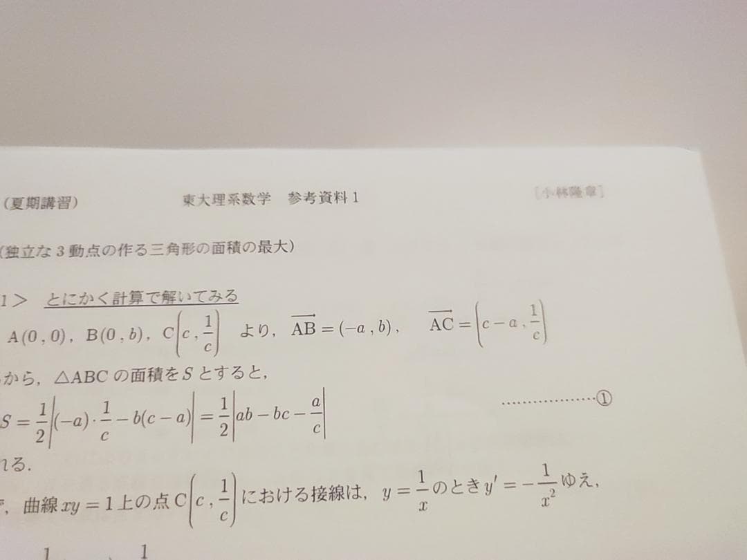 駿台の小林先生による夏期東大理系数学板書プリントフルセット　鉄緑会　河合塾