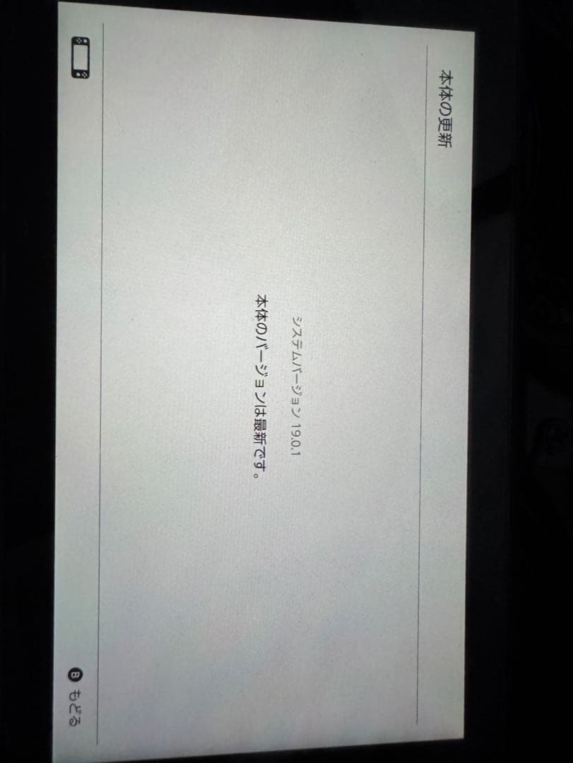 Nintendo Switch ニンテンドースイッチ ネオンレッド・ブルー