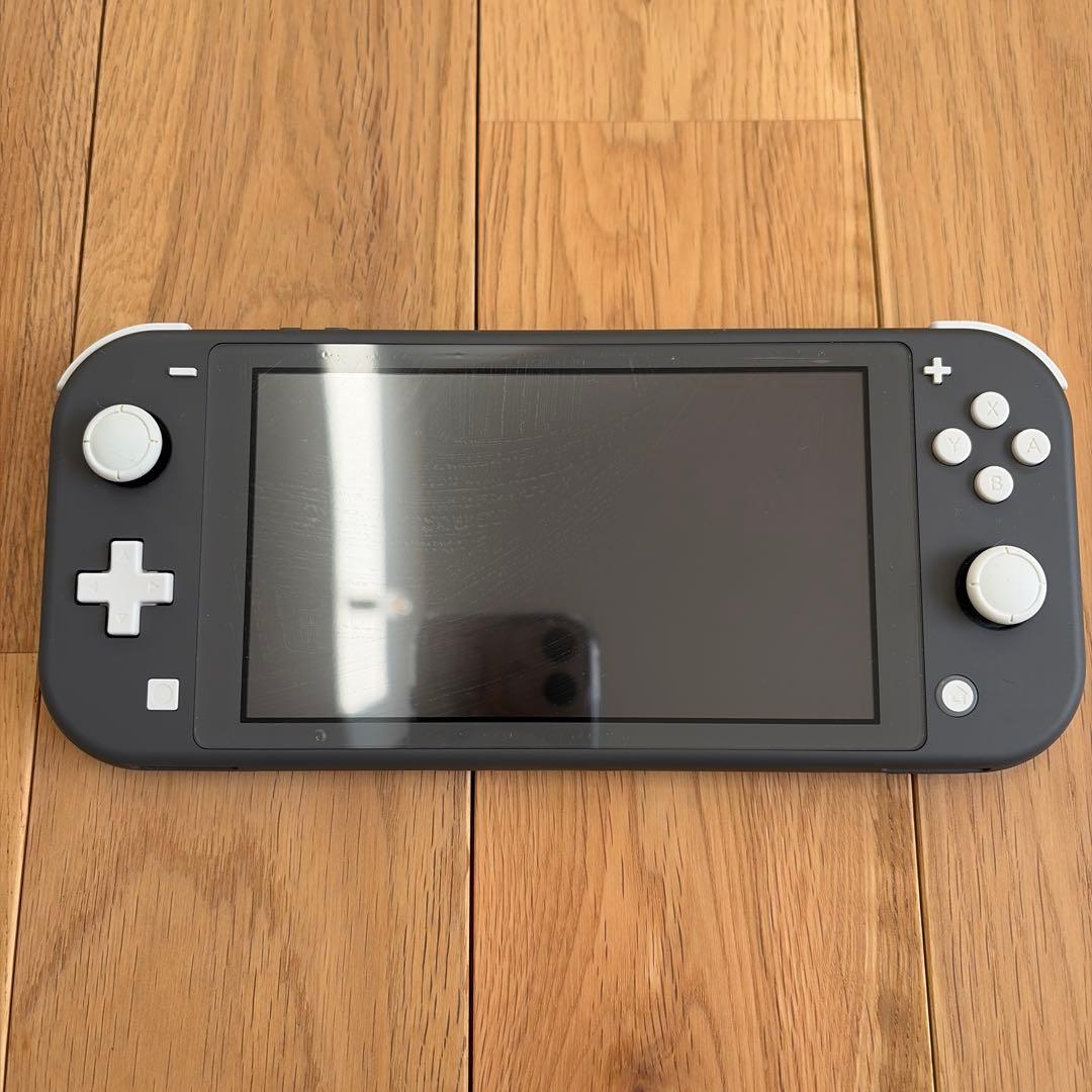 Switch ライト　グレー　本体　充電器付き　箱無し　ジャンク品
