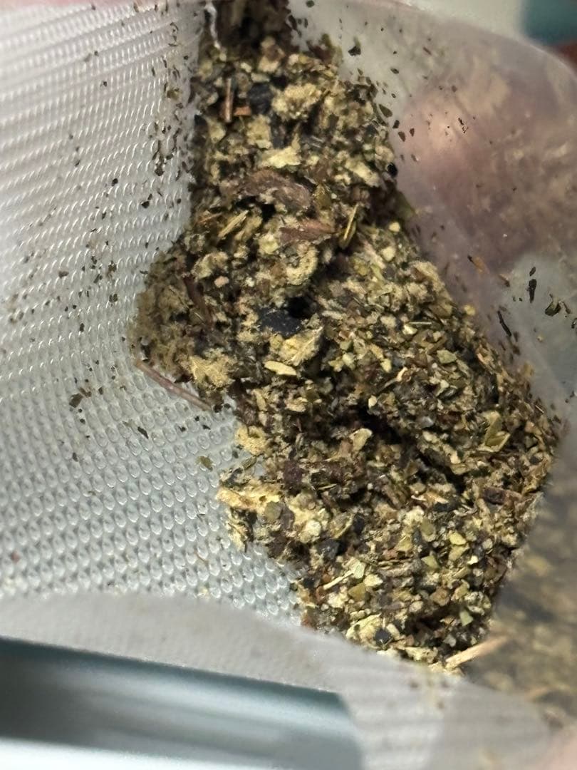 HHBD H4CBH CRDP鑑賞用　大容量5g